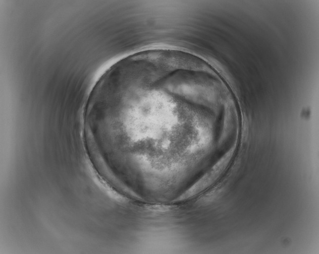 X0000111040862200907091608