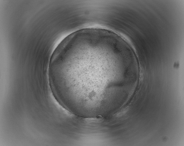 X0000111040863200907091608