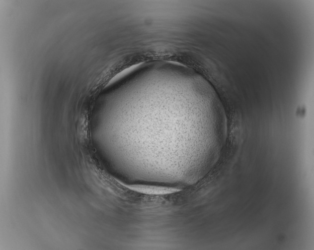 X0000111040866200907091607