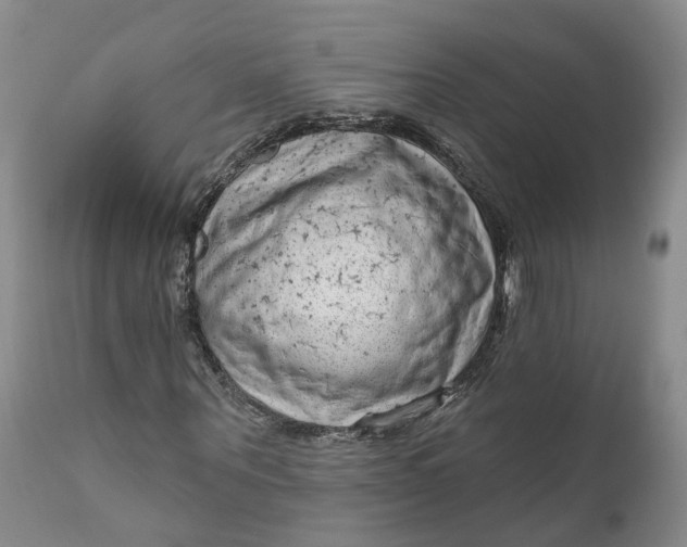 X0000111040867200907091607