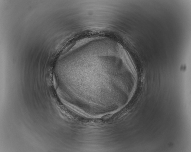 X0000111040868200907091607