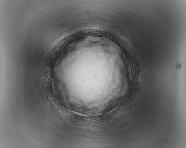 X0000111040870200907091607