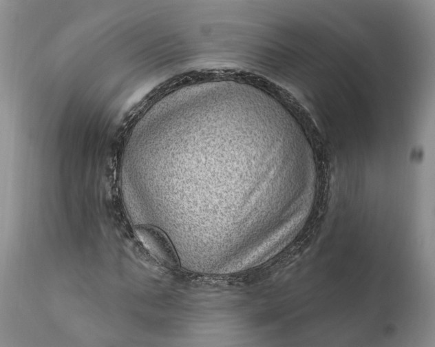 X0000111040871200907091607