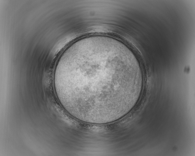 X0000111040874200907091607