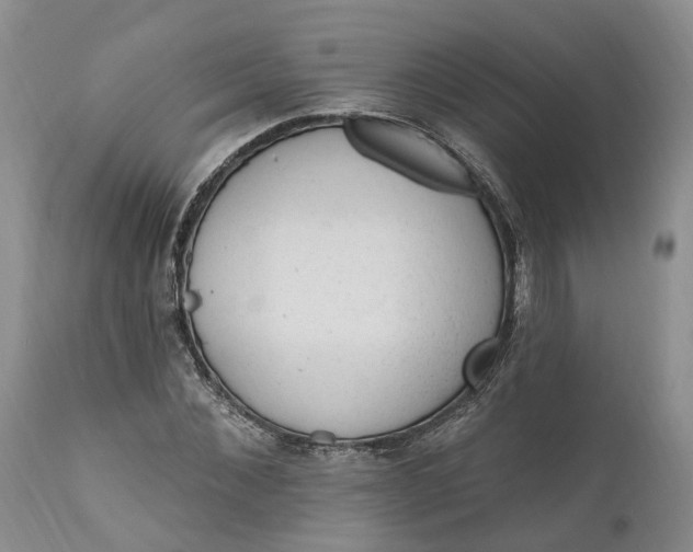 X0000111040876200907091607