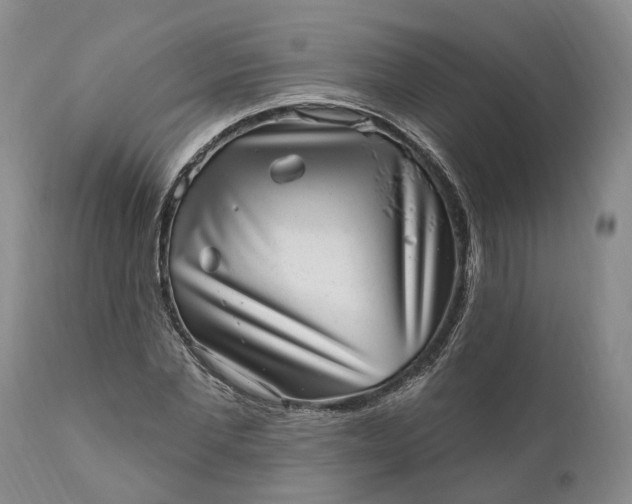 X0000111040877200907091607