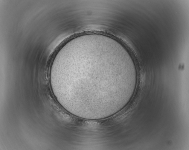 X0000111040878200907091607