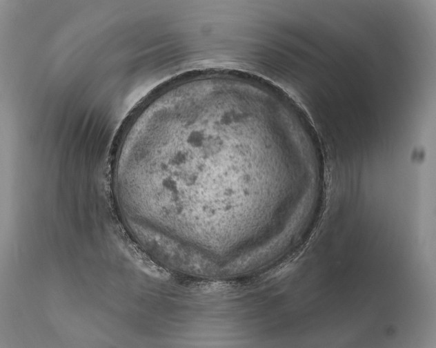 X0000111040879200907091607