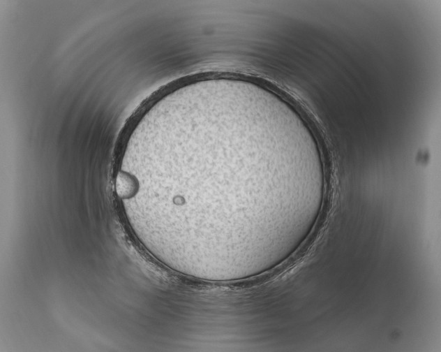 X0000111040880200907091607