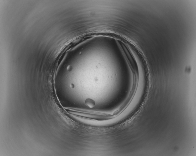 X0000111040881200907091607