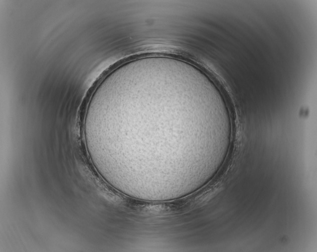 X0000111040883200907091607