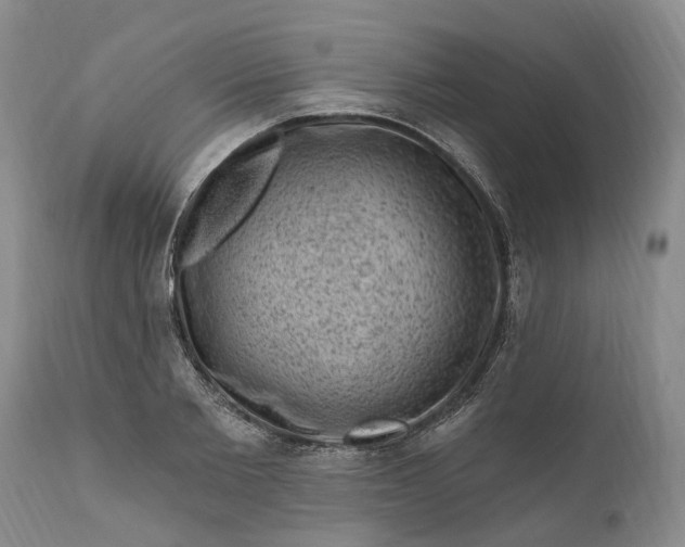 X0000111040885200907091607