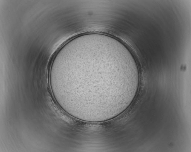 X0000111040886200907091607