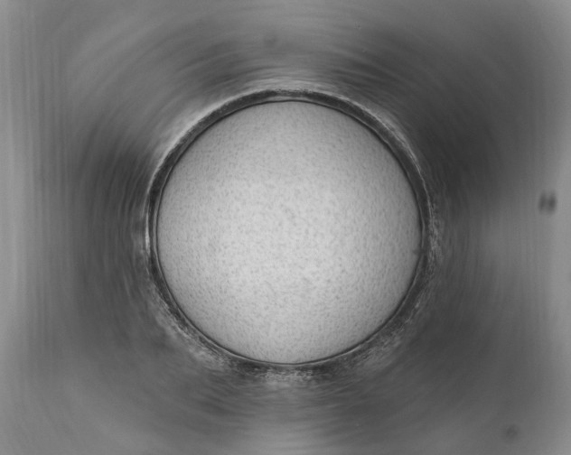 X0000111040887200907091607