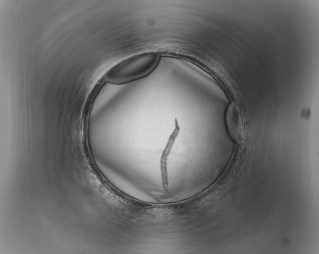 X0000111040888200907091607