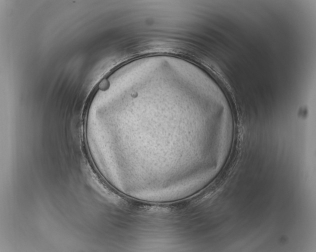 X0000111040890200907091607