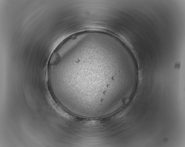 X0000111040891200907091607