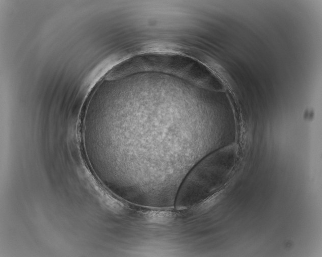 X0000111040893200907091607