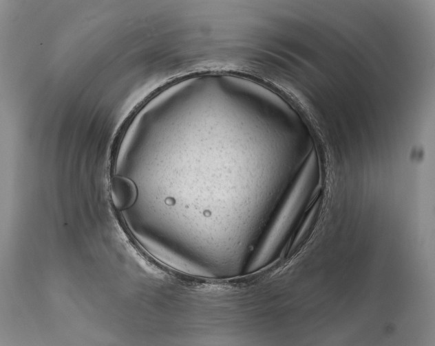 X0000111040894200907091607