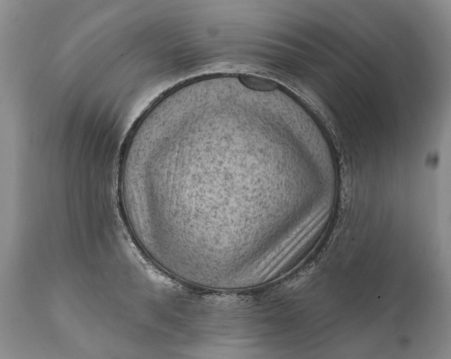 X0000111040896200907091607