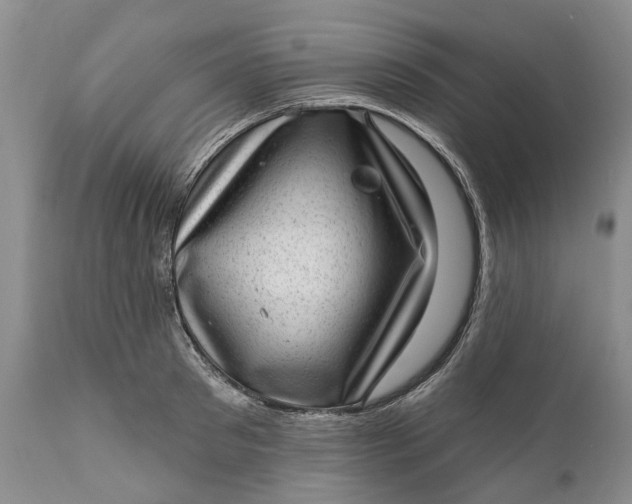 X0000111040897200907091607