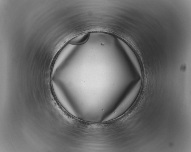 X0000111040898200907091606