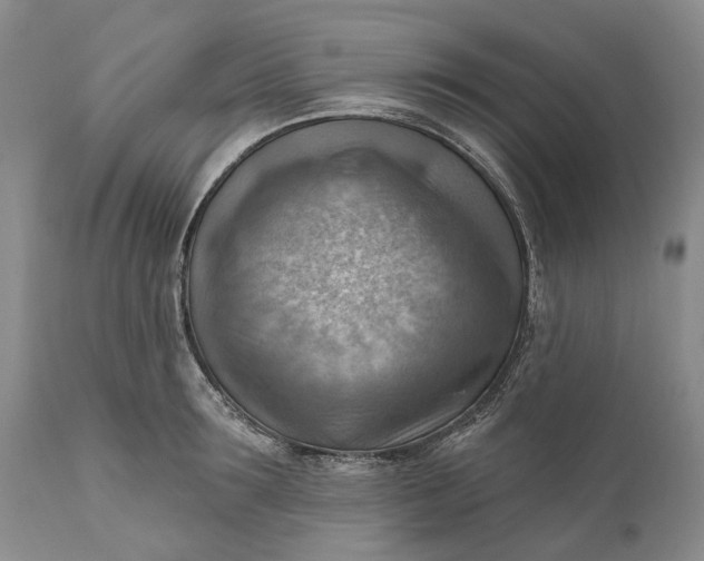 X0000111040899200907091606