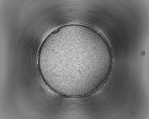 X0000111040900200907091606