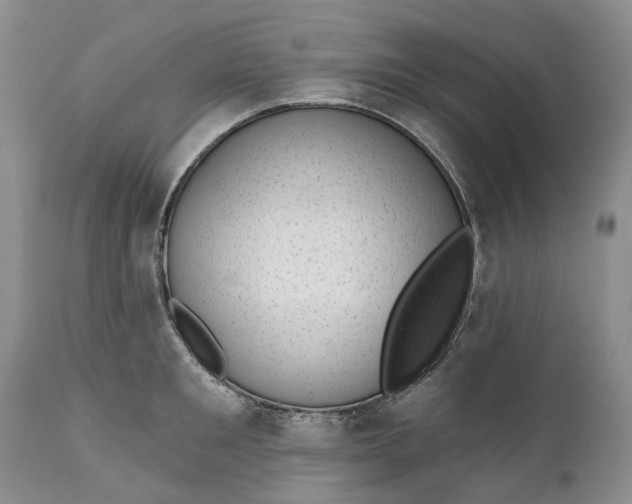 X0000111040901200907091606