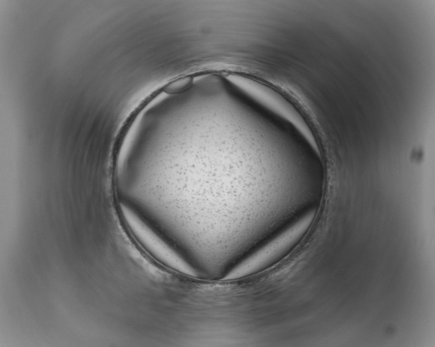 X0000111040902200907091606