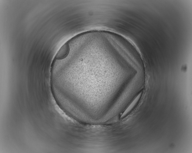 X0000111040903200907091606