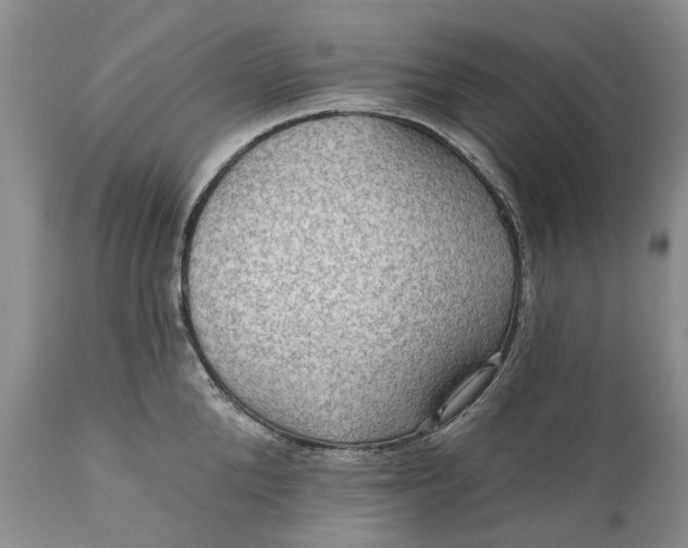 X0000111040904200907091606