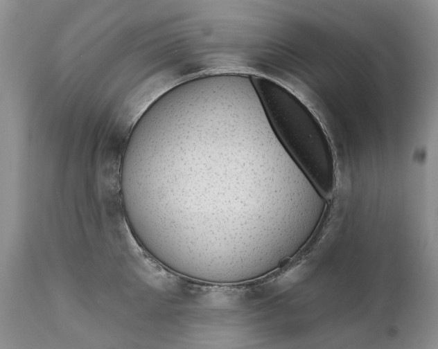 X0000111040905200907091606