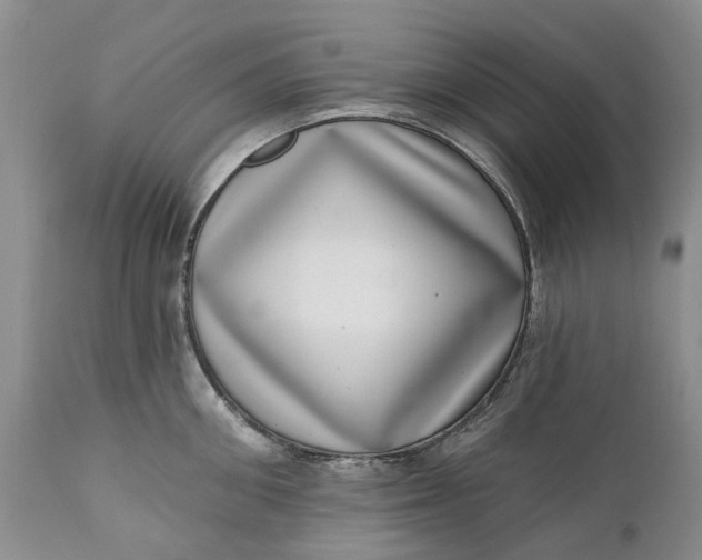 X0000111040906200907091606