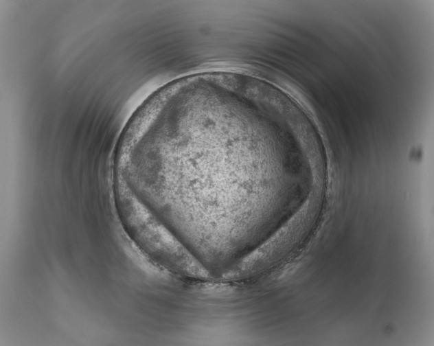 X0000111040907200907091606