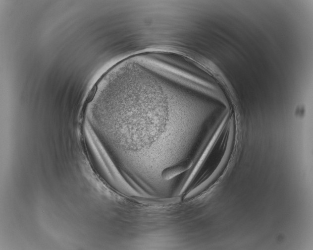 X0000111040908200907091606