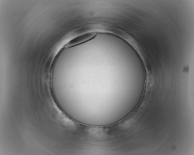 X0000111040909200907091606