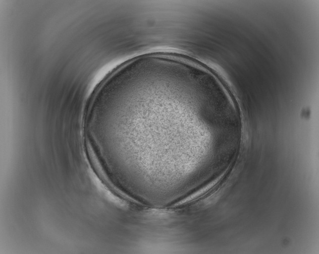 X0000111040910200907091606