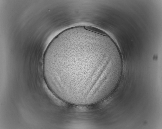 X0000111040911200907091606