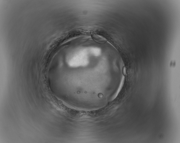 X0000111040913200907091605