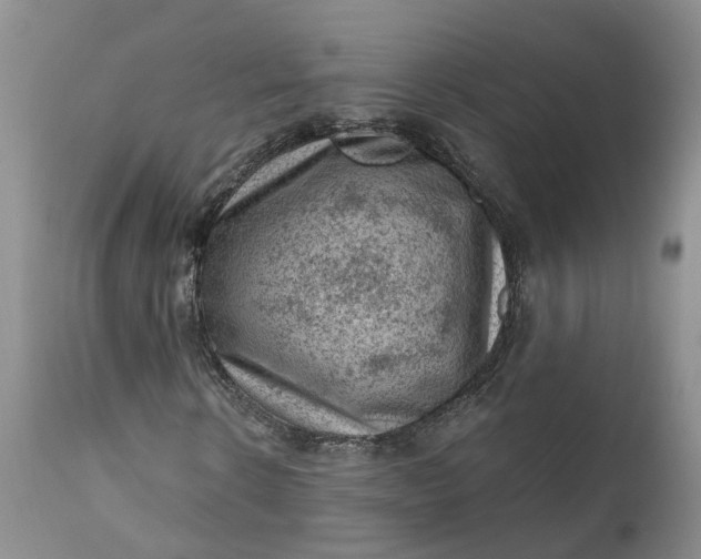 X0000111040914200907091605