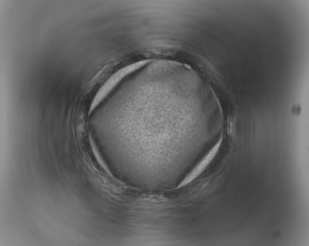 X0000111040915200907091605