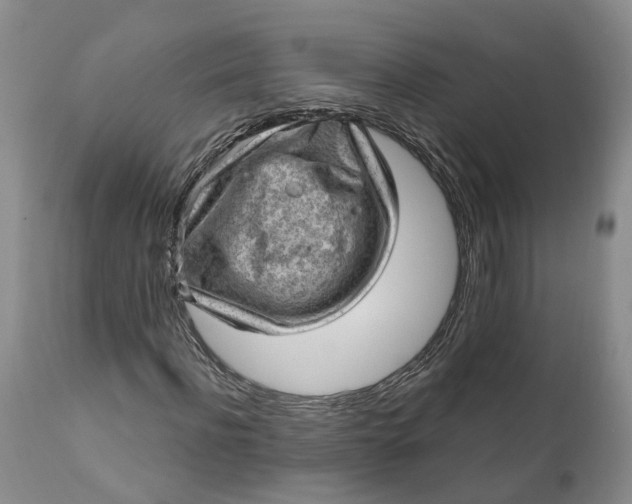 X0000111040916200907091605