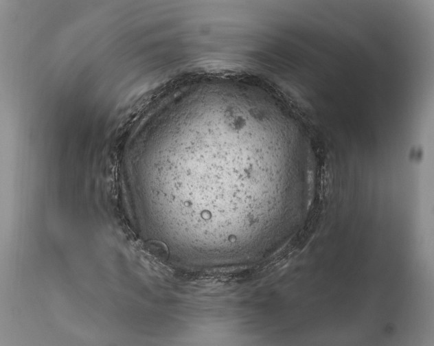 X0000111040917200907091605