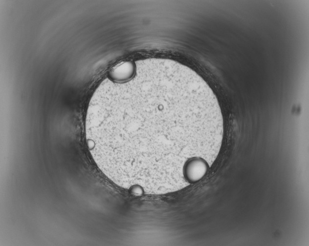 X0000111040918200907091605