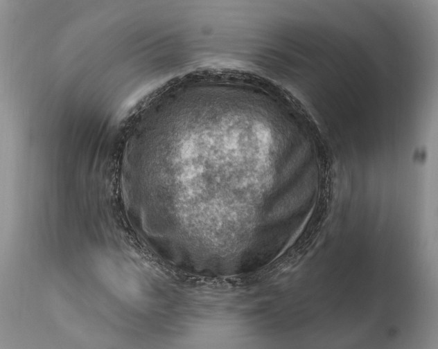 X0000111040919200907091605