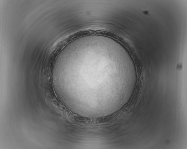 X0000111040920200907091605