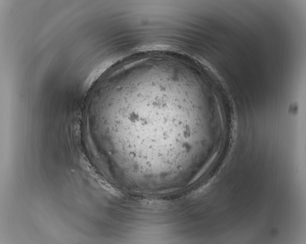 X0000111040921200907091605