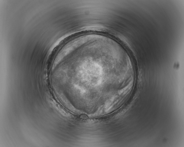 X0000111040923200907091605