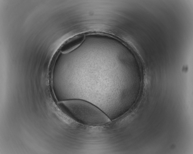 X0000111040924200907091606